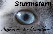 sturm sucht...... Sturms19