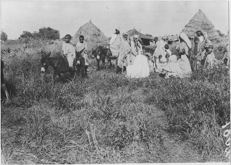 Fermes Agricoles, Viticoles et autres - Page 16 Meknas10