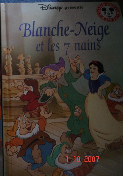 Blanche Neige et les Sept Nains - Page 8 Dsc04010