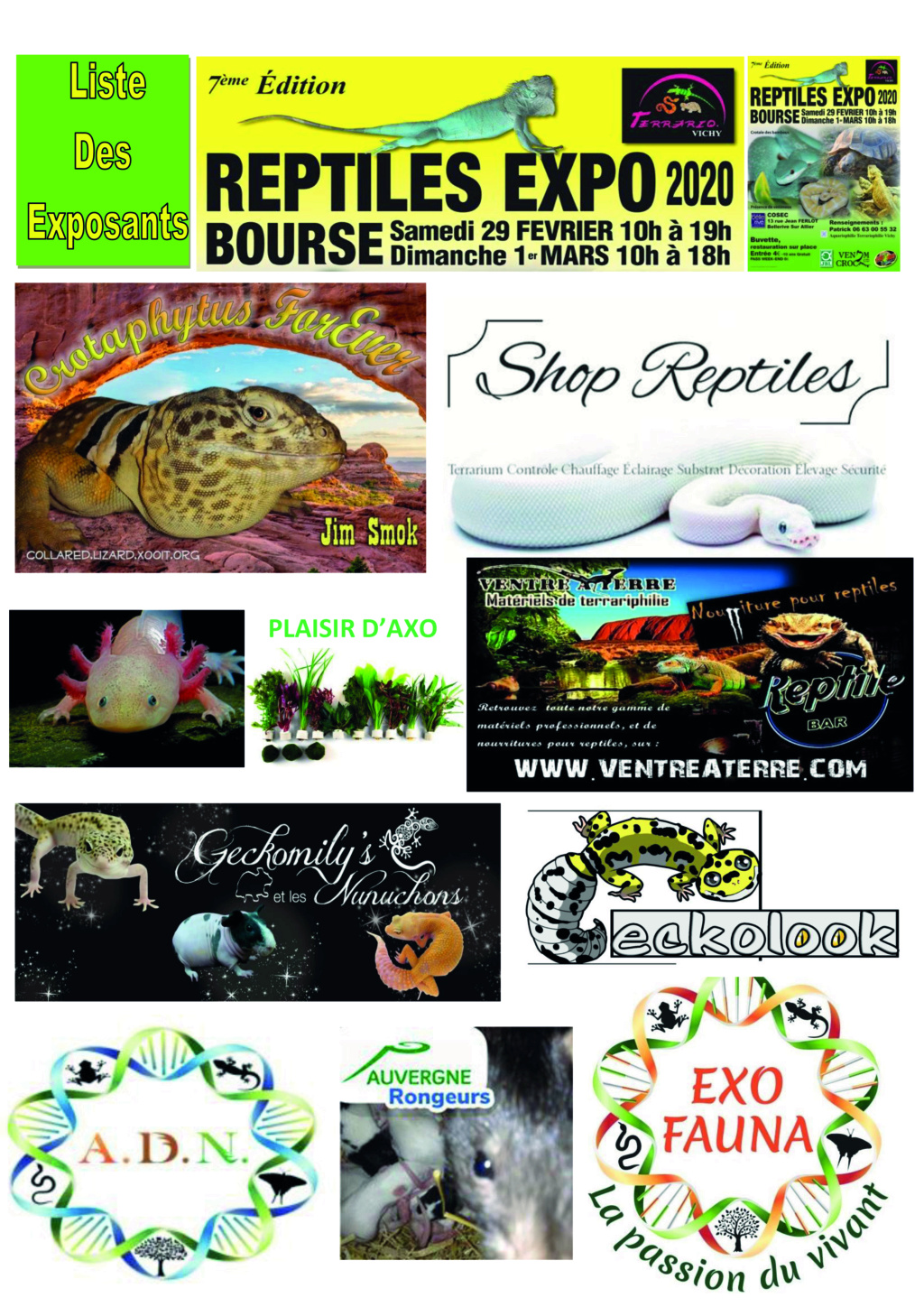 REPTILES EXPO BOURSE VICHY 29 FÉVRIER ET 1 MARS 2020 4_list10