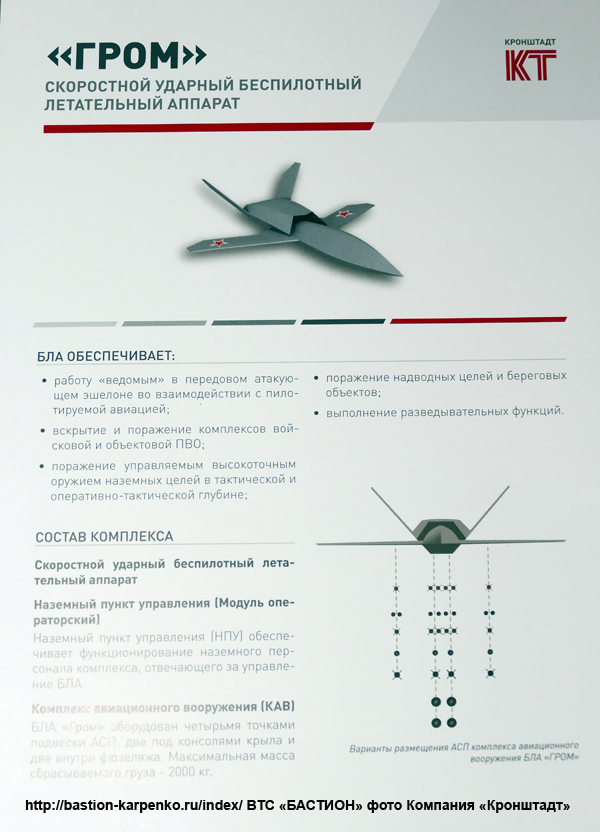 UAVs in Russian Armed Forces: News #2 - Page 5 Egl8z810