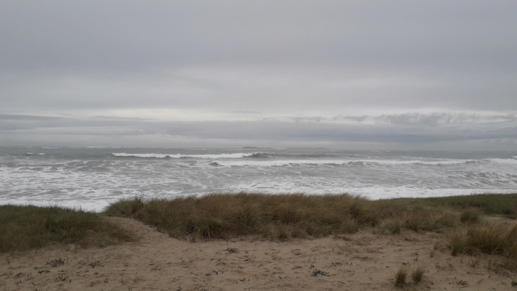 Quiberon, sa côte, ses chouans, ses bastons - Page 6 20190212