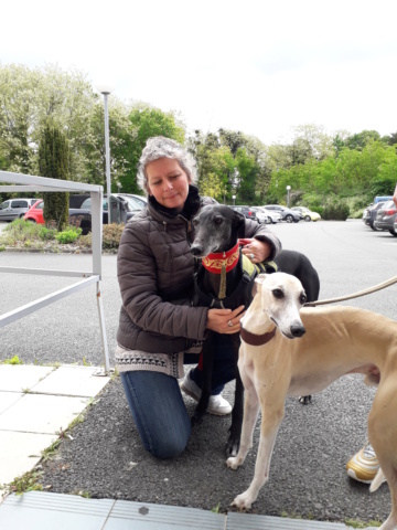 GAVIOTA "Safari", galga noire de 4ans .Scooby France - Page 3 20190412