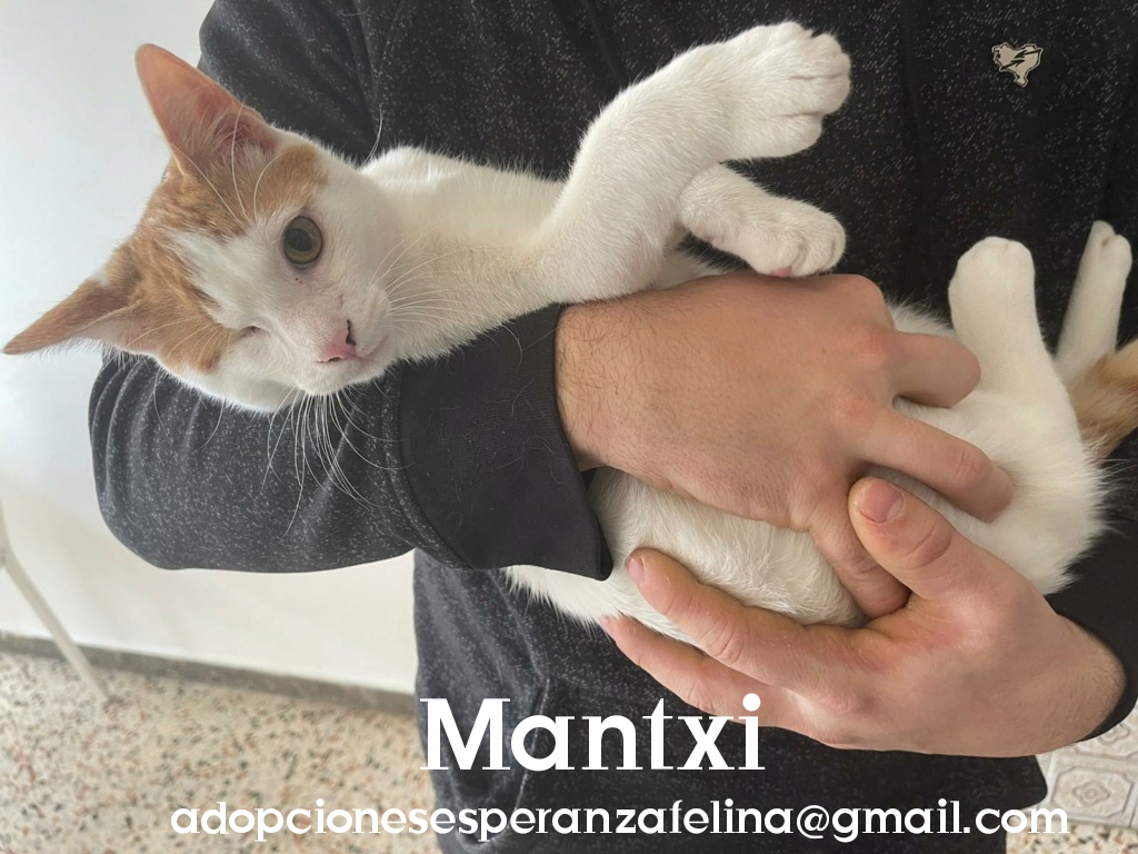 Mantxi, adorable cachorrito busca hogar. (F.N Aprox: 15/07/21) Photo164