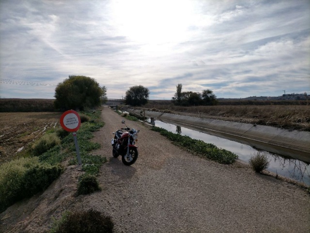 Ruta por la sierra de Madrid y más... Thumbn64