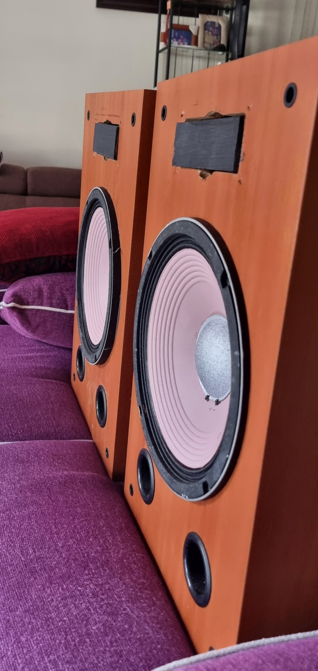 fostex 12 inch full range speaker for sale sold  20240310