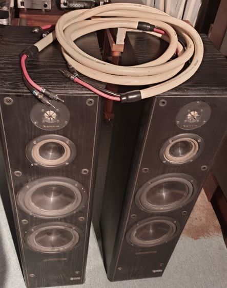 infinity reference 60 floor standing speaker + mit mh 950 (Sold) Infini10