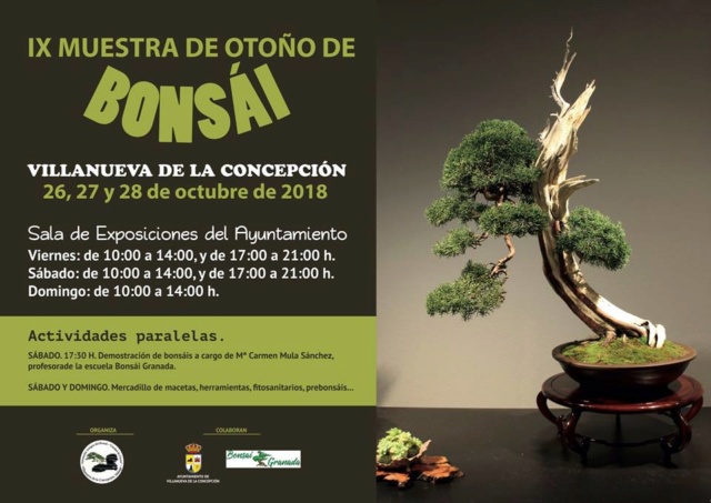 2018/10/26-2018/10/28 - IX Muestra de Bonsái Villanueva de la Concepción (Málaga) 7710