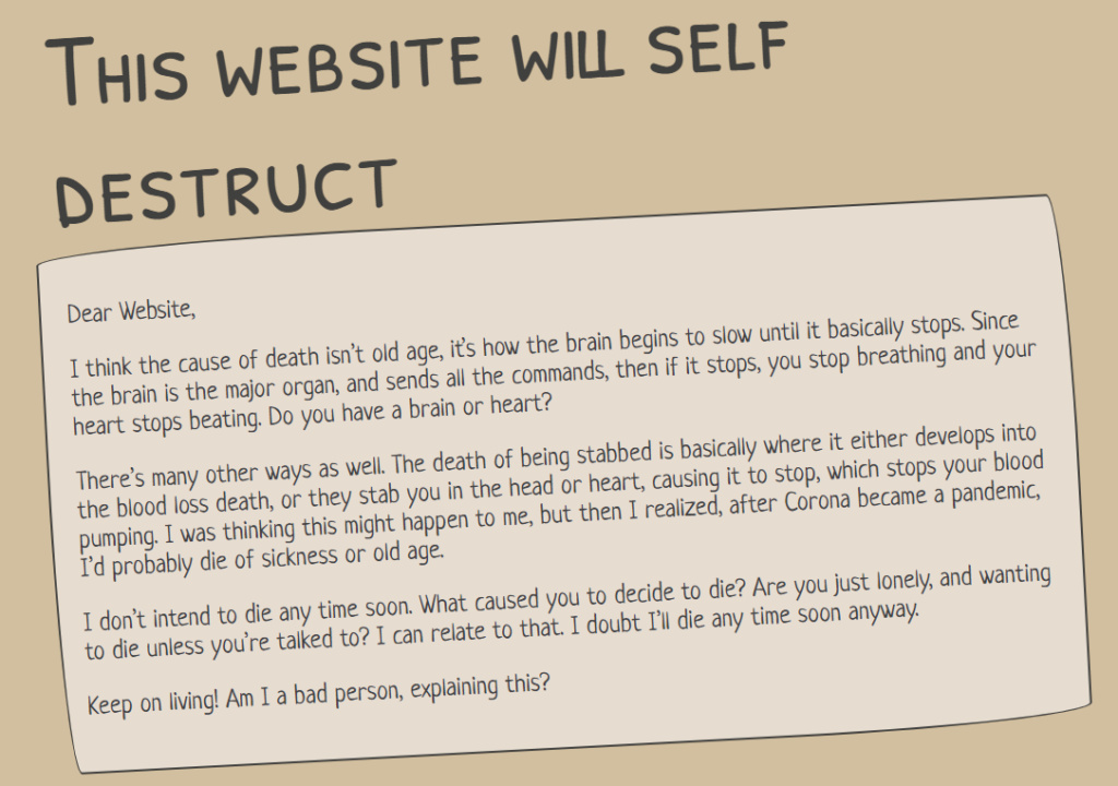 This website will self destruct 0110