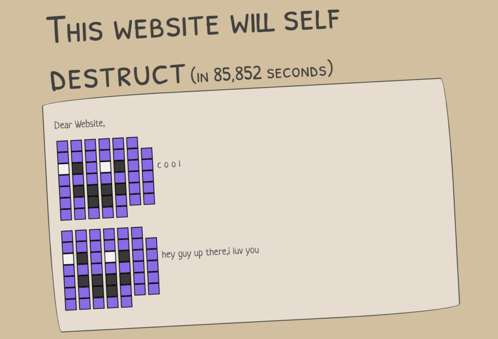 This website will self destruct 0210