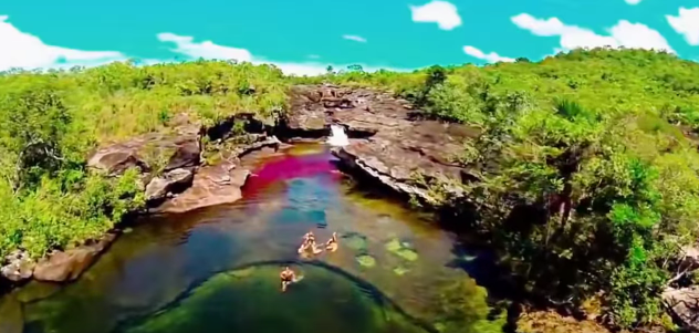 النهر الكولومبي ذو الخمسة ألوان في سيرانيا دي لا ماكارينا 112