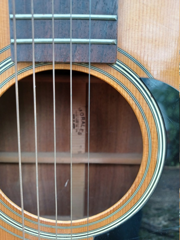 Guitare folk MORALES made in japan  20240114