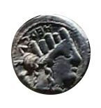 Denario de la gens Furia. CLASSIPES. Silla curul, con inscripción P. FOVRIVS. Roma. 29a10