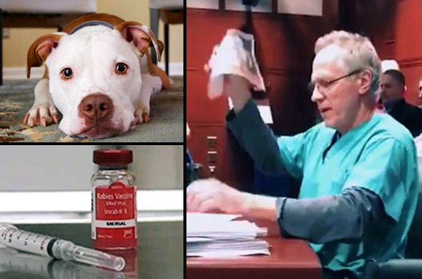 Le Dr John Robb, vétérinaire dénonce la survaccination des animaux Fofo_t12
