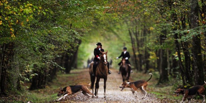 Femme enceinte dévorée : qui est le cavalier croisé par son compagnon ? Vignet10