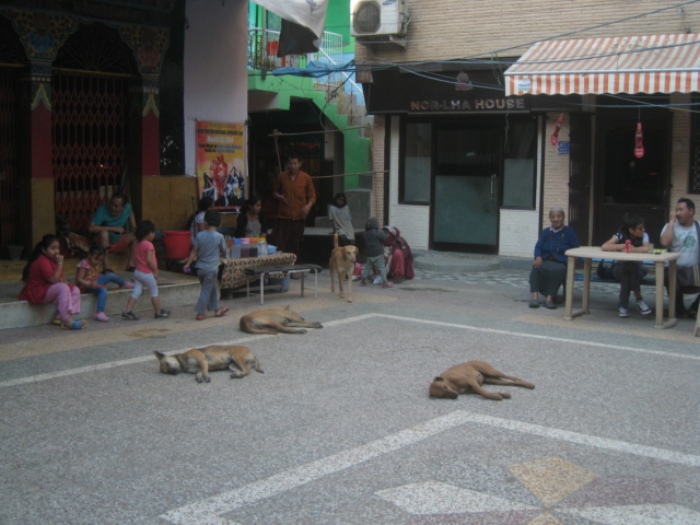 Carnet de voyage en Inde: Delhi, Himachal Pradesh Img_0212