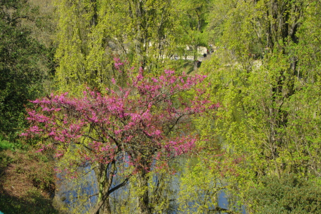 Balades dans la nature au départ de Paris Red_0399