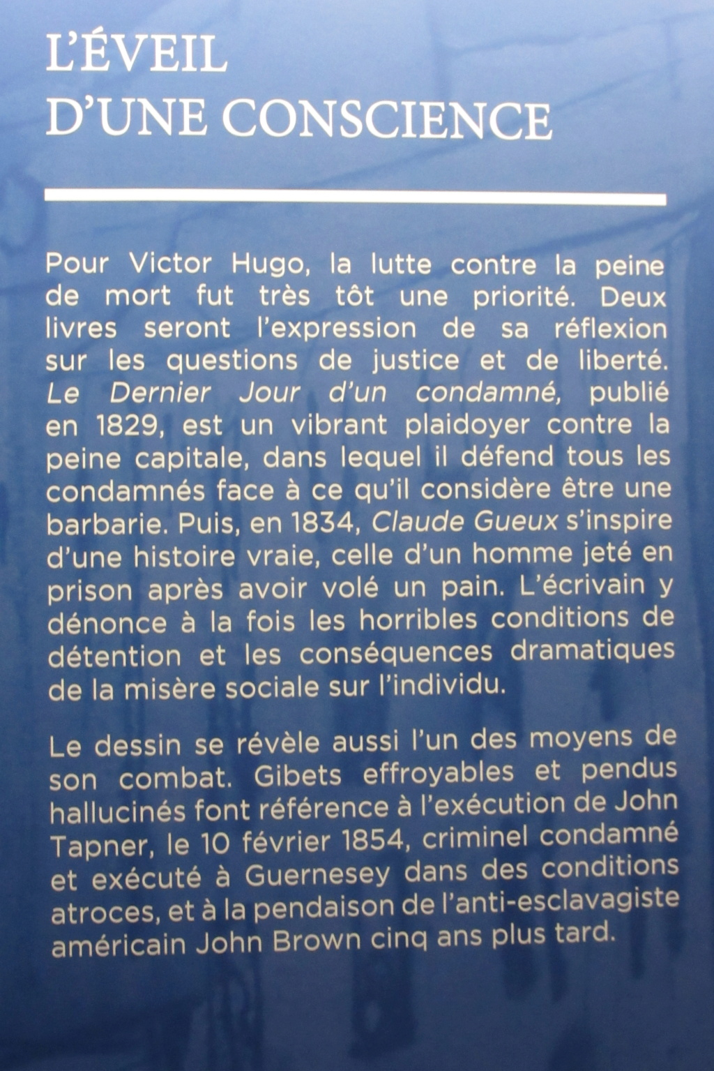 Citation de Victor Hugo - poète, dramaturge, écrivain, romancier et dessinateur romantique français, né le 26 février 1802 (7 ventôse an X) à Besançon et mort le 22 mai 1885 à Paris. Il est considéré comme l'un des plus importants écrivains de la langue   Red_0867