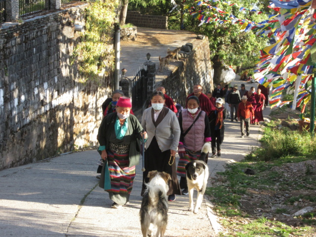 Carnet de voyage en Inde: Delhi, Himachal Pradesh Red_1201