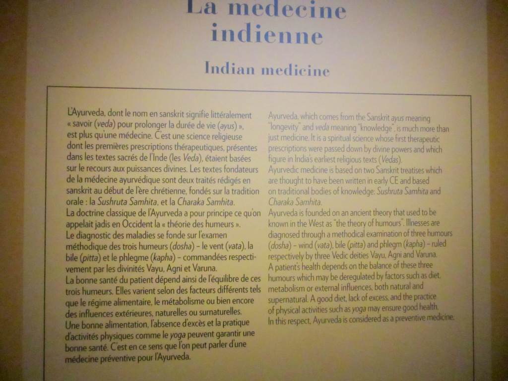 Au Musée Guimet , Exposition " Les médecines d'Asie " jusqu'au 18 septembre 2023 Red_1358