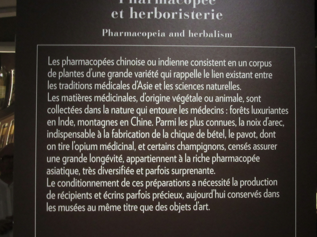 Au Musée Guimet , Exposition " Les médecines d'Asie " jusqu'au 18 septembre 2023 Red_1363