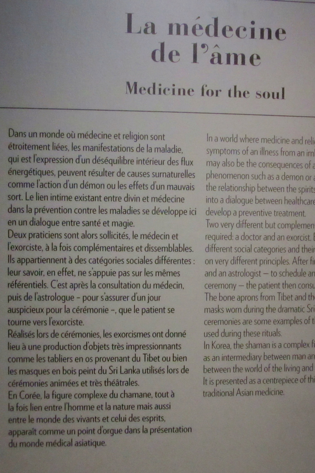 Au Musée Guimet , Exposition " Les médecines d'Asie " jusqu'au 18 septembre 2023 Red_1367