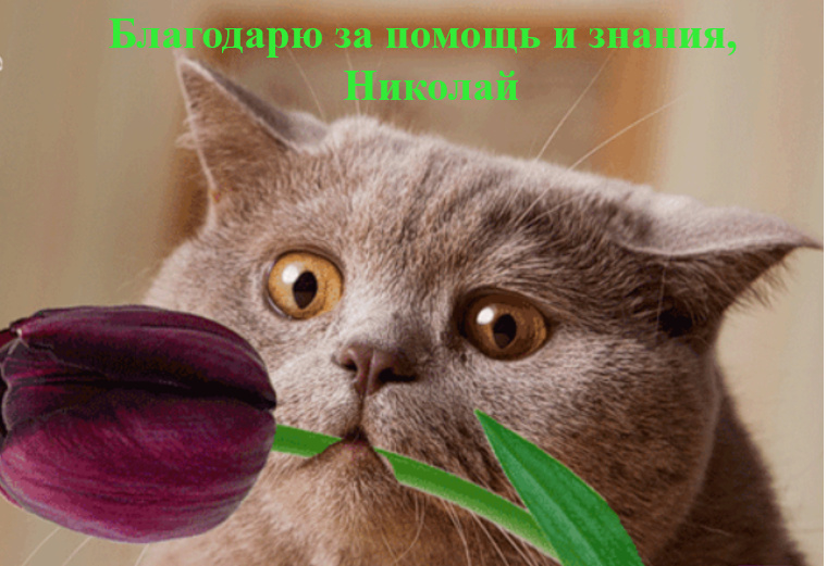 Отзывы о школах, курсах и мастер-классах - Страница 4 U_210