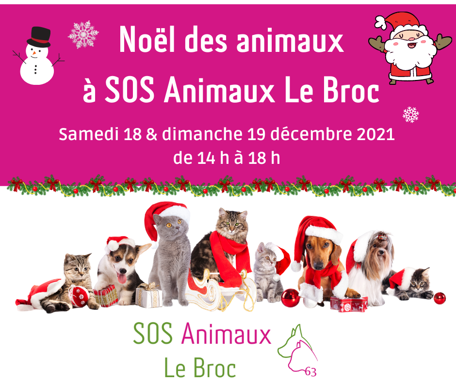 Noël des animaux samedi 18 at dimanche 19 décembre 2021 Copie_10