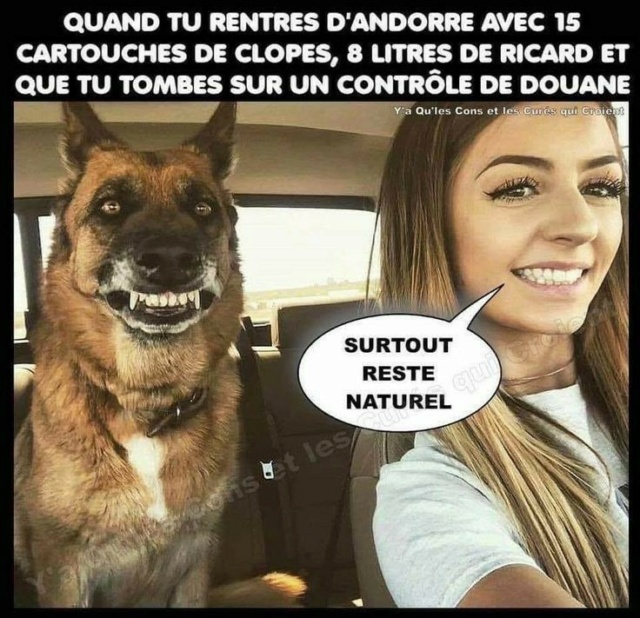 Humour  - Page 33 1004bf10