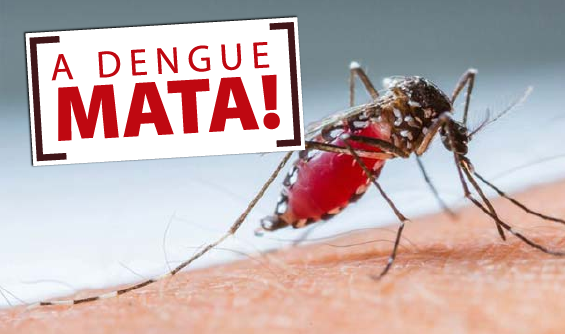 115 casos de dengue confirmado em São João da Boa Vista . Dengue10