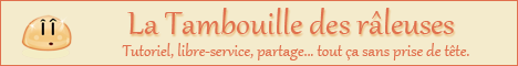 Mini-bannière 468x60 - La Tambouille des Râleuses