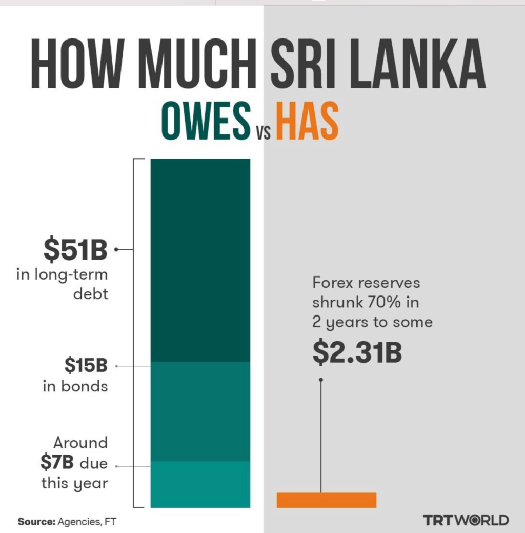 How much Sri Lanka Owes Vs Has Screen66