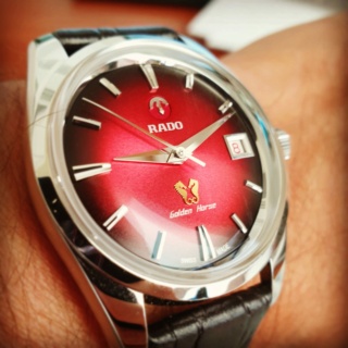 -qt - Rado Golden Horse 1957 Rouge Noir Bleu et Vert - Page 3 Img_2061