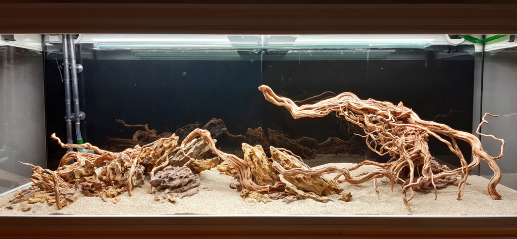 Aquarium de ludovic 840 litres 20201059