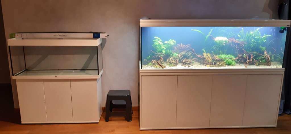 Aquarium de ludovic 840 litres 20201145