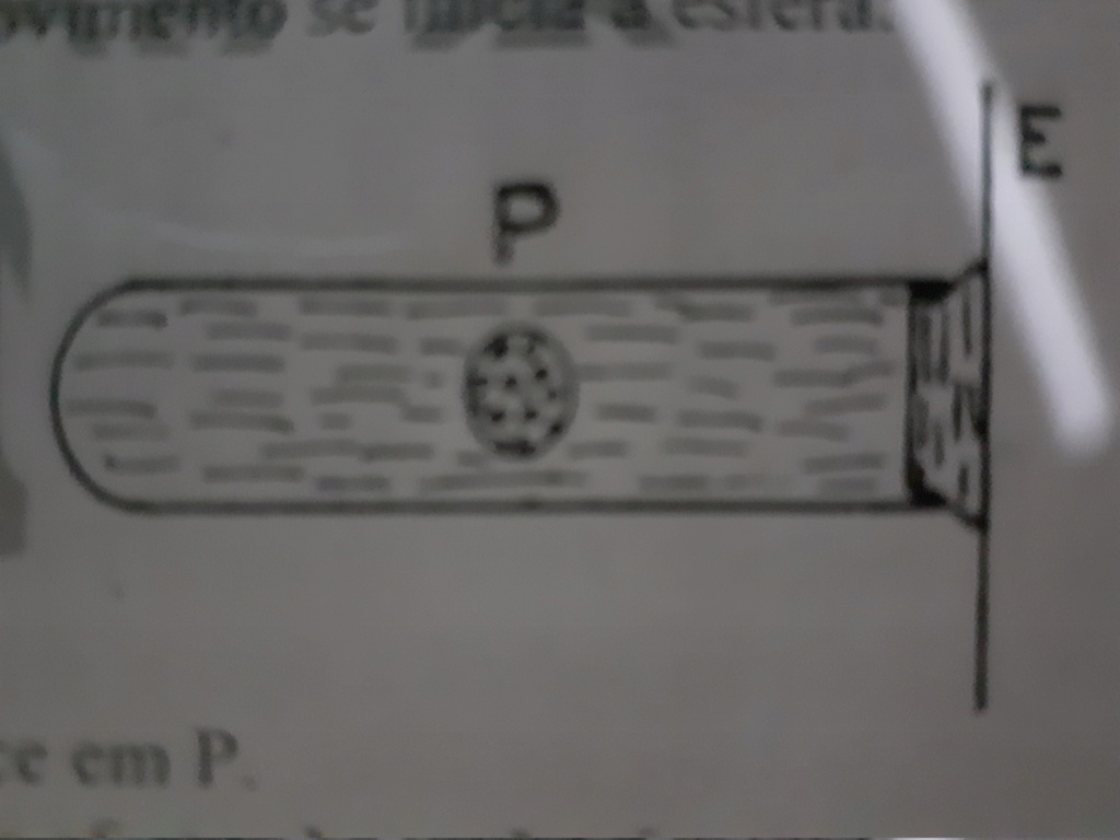 Ita-68 20210211
