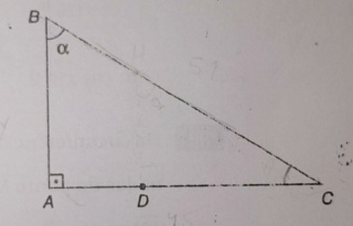 Trigonometria no triângulo retângulo Whatsa11