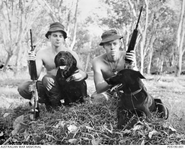 Aussie Tracker Dogs 16632410