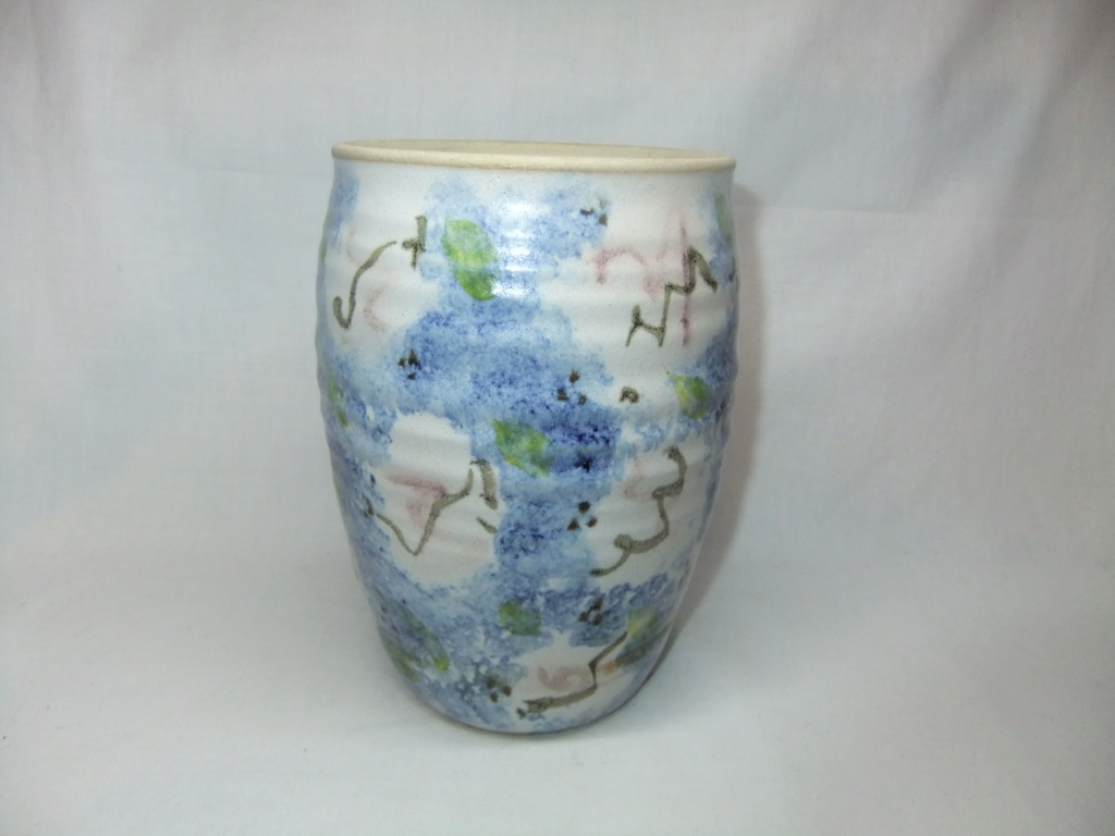 Vase - Hilary Bassett  Dscf8715