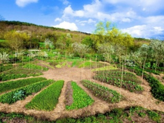 LES JARDINIERS DE LALOUET'COOP Mandal11