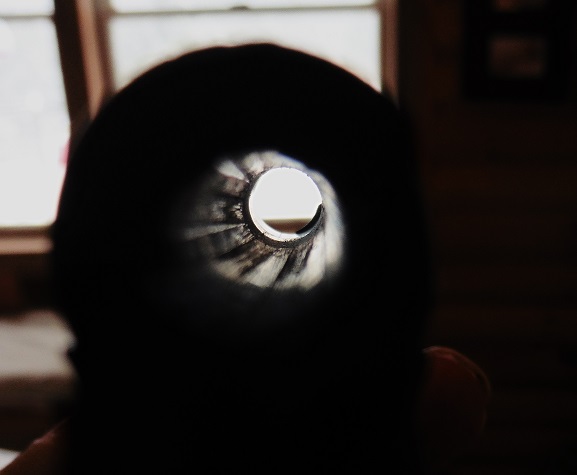 DAVIS INDUSTRIES .25 Cal. Deringer Davis-20