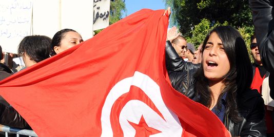TUNISI: "COUP D'ETAT CONTRE LA DÉMOCRATIE" 611