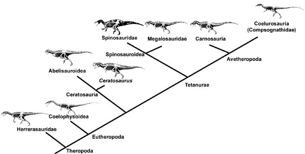 Les Reptiliens Therop10