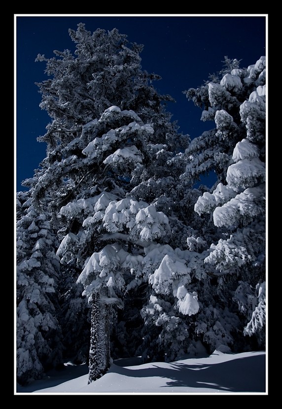 Le Pilat au clair de Lune 08121321