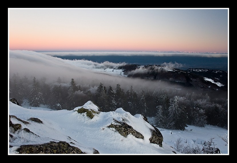 Fin d'après-midi au Pilat 08122229