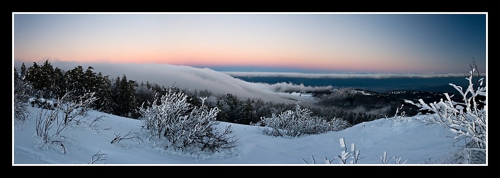 Fin d'après-midi au Pilat 08122231