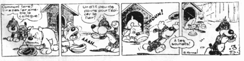 Pif Le Chien Hercule Le Chat