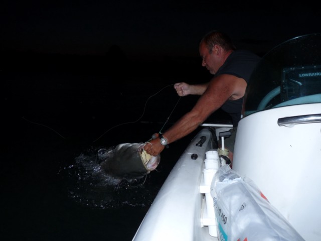 Quelques sorties pendant les congés d'été Peche218