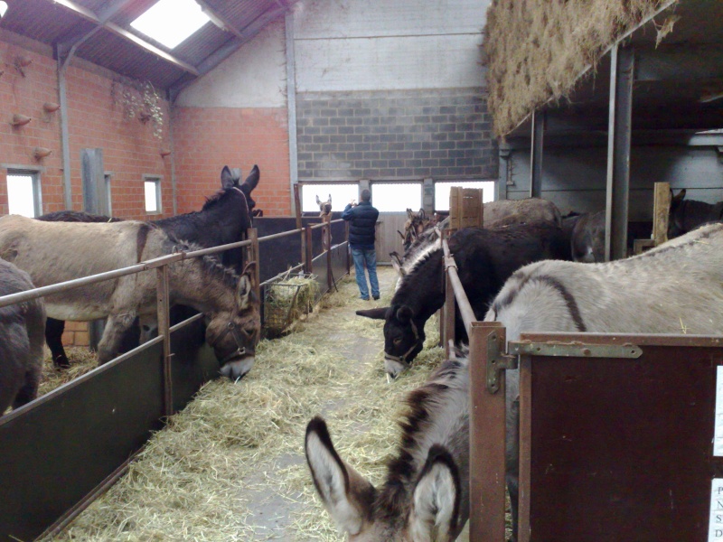 visite de l'asinerie du pays des collines 16112013