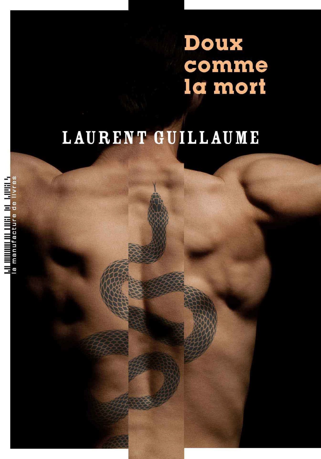 Laurent Guillaume 97823510